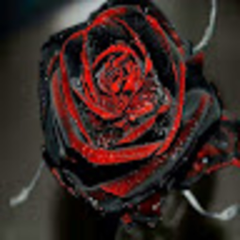 Meet your Posher, Shantana